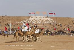 Image du Maroc Professionnelle de  Des hommes du désert s’apprêtent à une course de chameaux organisé dans un site désertique sur lequel la ville de Tan Tan a toujours accueilli la majorité des tribus et des grandes familles nomades du désert lors d'un grand Moussem, Samedi 7 Septembre 2013. Le festival parrainé par l'UNESCO rassemble des milliers de nomades du Maroc. (Photo / Abdeljalil Bounhar) 